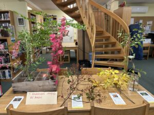 Photo of 4 plants